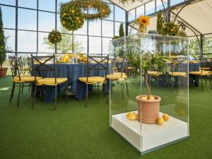 Visual Cube Stehkube 5